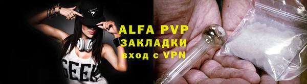 ПСИЛОЦИБИНОВЫЕ ГРИБЫ Белоозёрский
