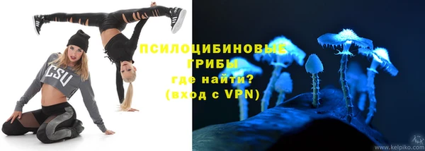 ПСИЛОЦИБИНОВЫЕ ГРИБЫ Белоозёрский