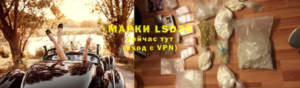 ПСИЛОЦИБИНОВЫЕ ГРИБЫ Белоозёрский