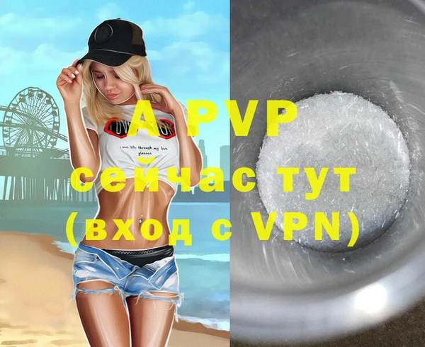 ПСИЛОЦИБИНОВЫЕ ГРИБЫ Белоозёрский