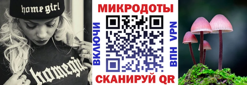 Галлюциногенные грибы Psilocybe  цена наркотик  Волчанск 